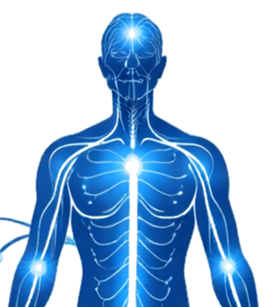 NeuroVida Casos
